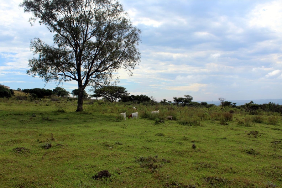 Commercial Property for Sale in Kei Mouth Eastern Cape